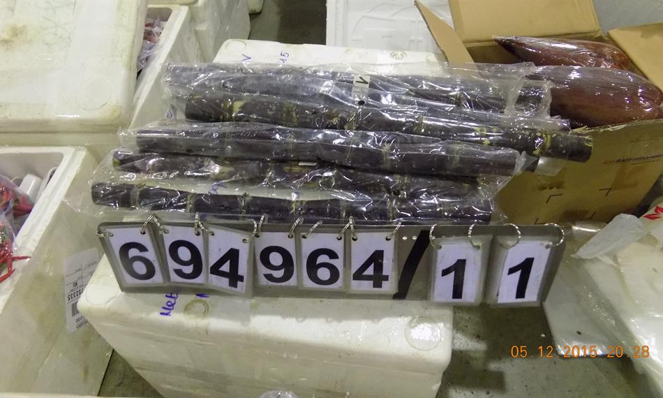 2015-12-8-953foto 9.JPG